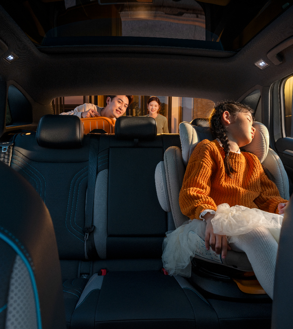 Comfortable Space, Relaxing Companion