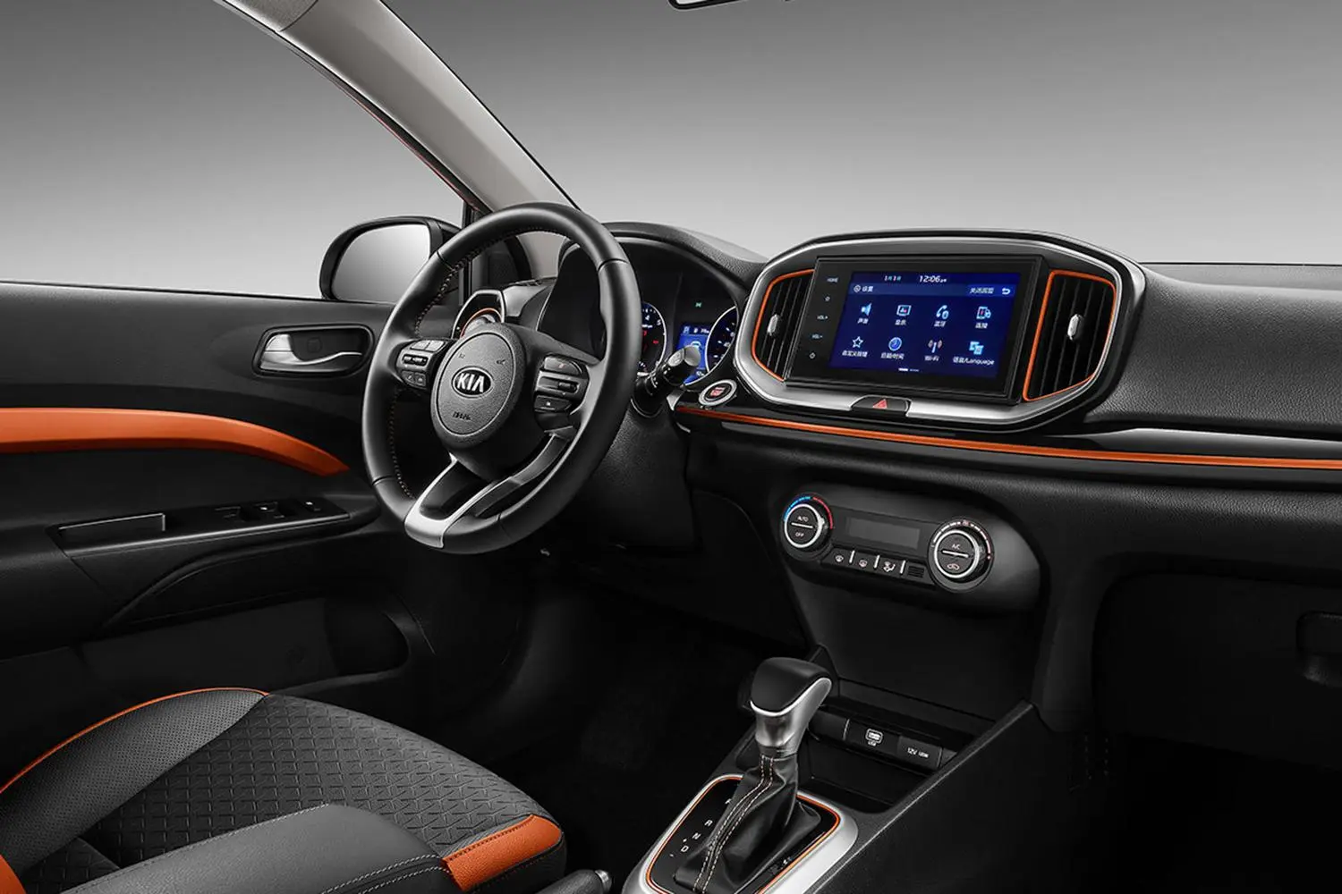 Comfortable Space, Relaxing Companion